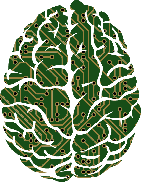 Machine Learning Brain Circit